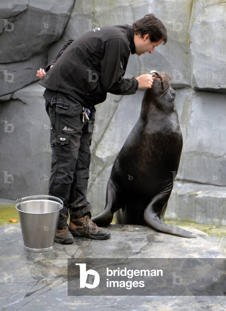 28864N ZOO de VINCENNES PARIS?