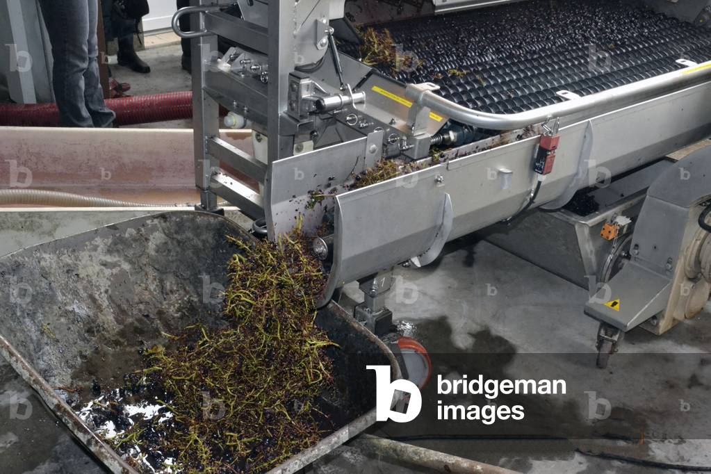 15397N Harvest at Chateau Pepetit Boyer C?? Blaye box 5 October 2013 wine grape grain sorting machine?