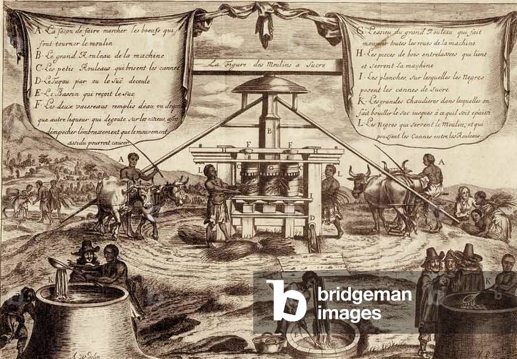 14776N Manufacture of rum in the Caribbean or West Indies