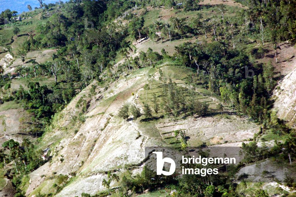 La deforestation a HAITI \n