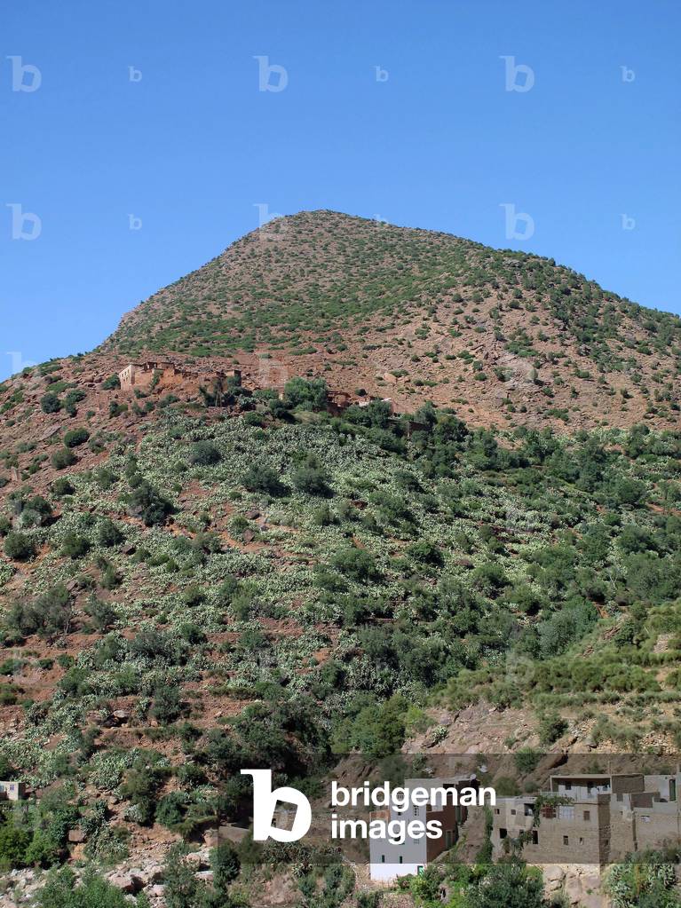 Vallee de l'Ourika : Village berbere