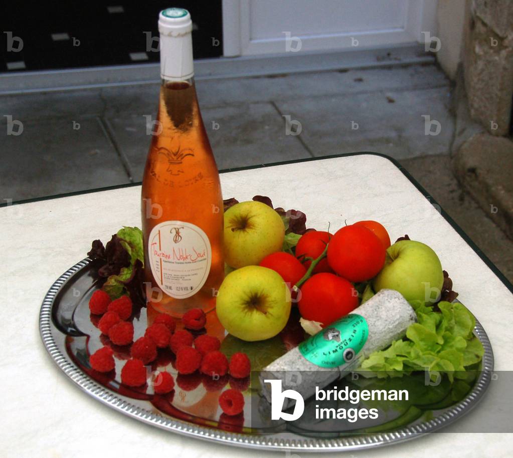 9675N Fabricatin of goat cheese Sainte Maure de Touraine 2010 rt