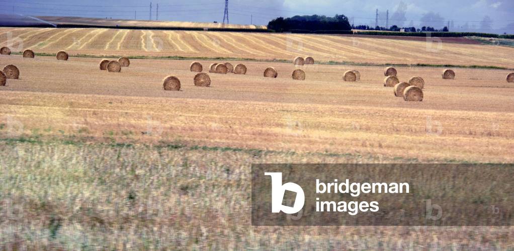 9289N Landscape with straw stones hay boots region of Blois 2009