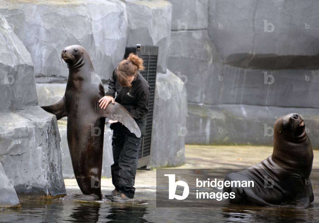 28866N ZOO de VINCENNES PARIS?