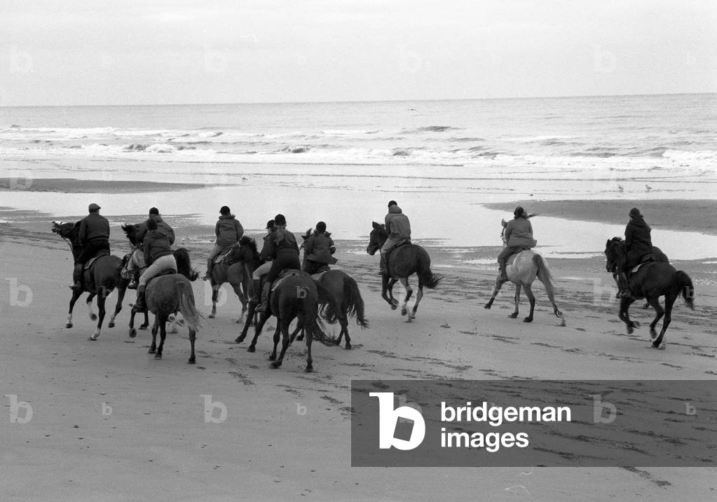 Promenade equestre