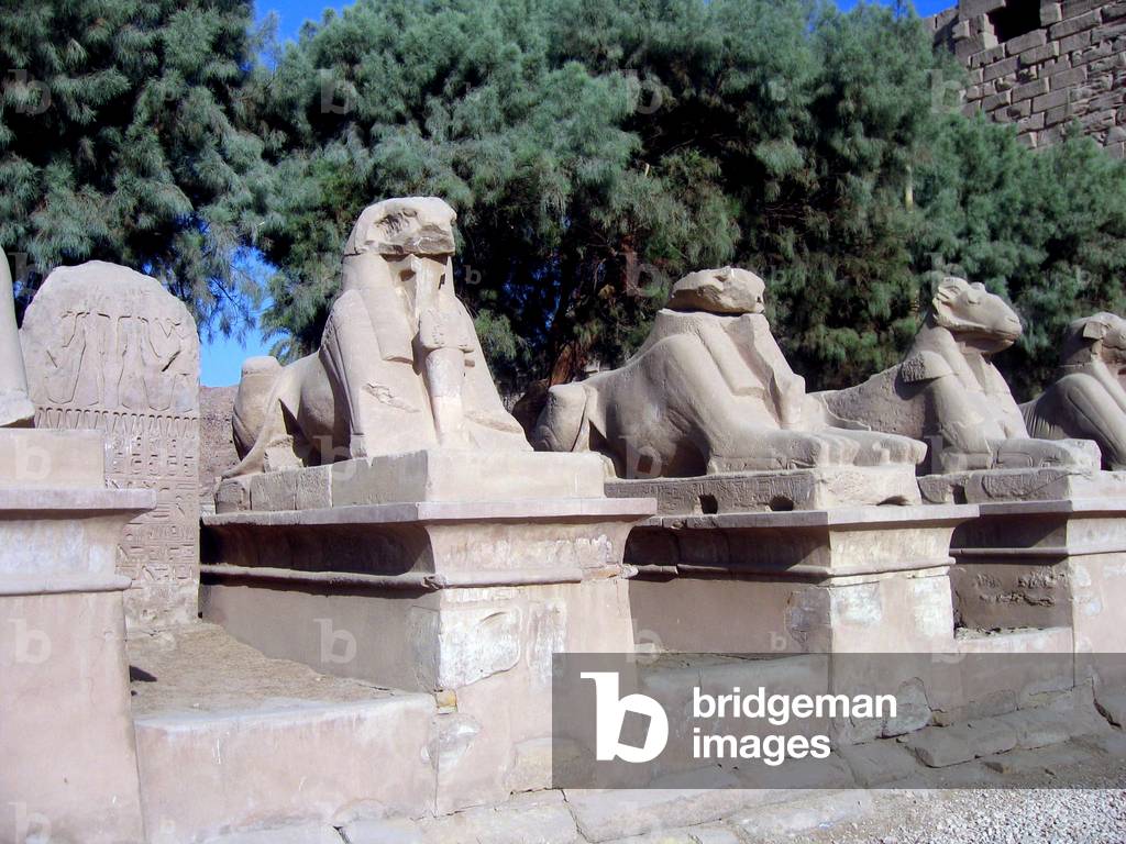 EGYPT - 2006 5352N- EGYPT - 2006 the temple of KARNAK ¿KHEPRI alle Beliers or CRIOSPHINX