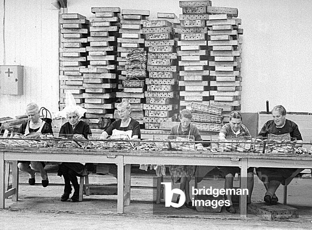 Sardinieres in the Sables d'Olonnes