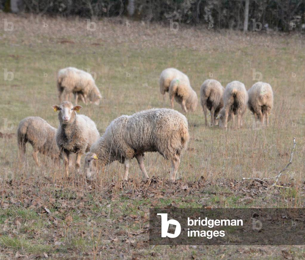 21519N ?? FIGEAC - LOT D??C 2017 - chez Margot Marguerite ?_crivain ?