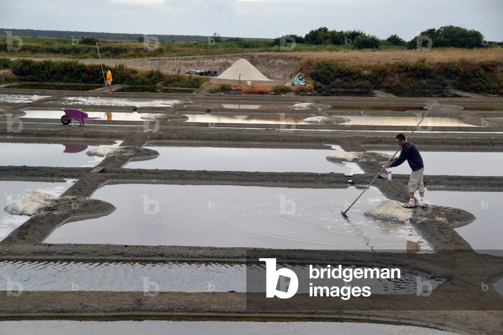 Les salines de Guerande