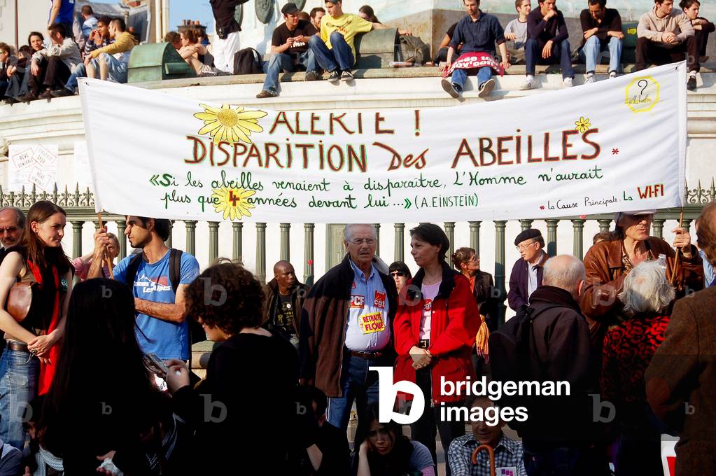 9219N 1 May 2009 Paris against the disappearance of bees