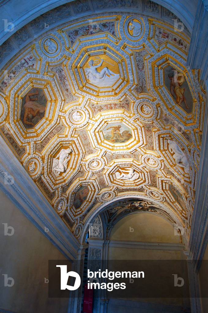 Vault within the Palais des Dodges