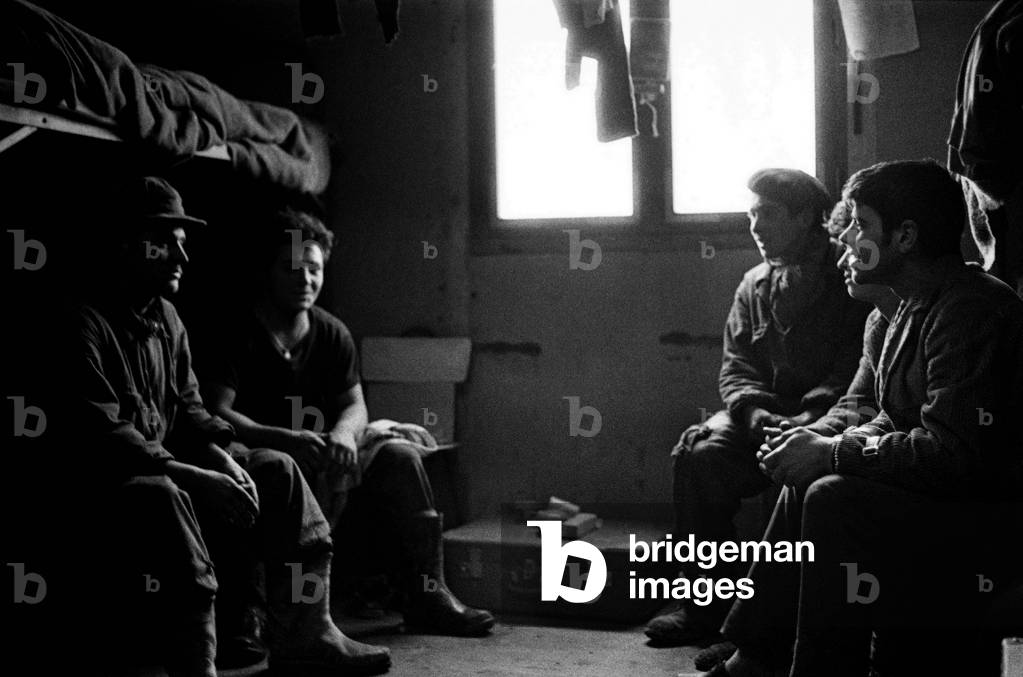 Portuguese immigrants