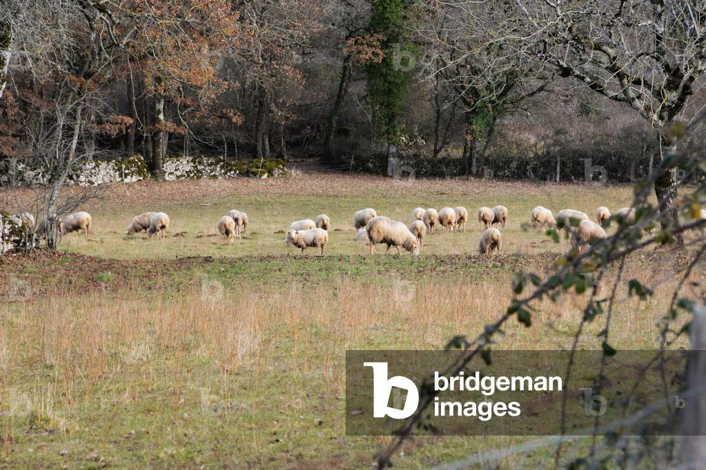 21518N ?? FIGEAC - LOT D??C 2017 - chez Margot Marguerite ?_crivain ?