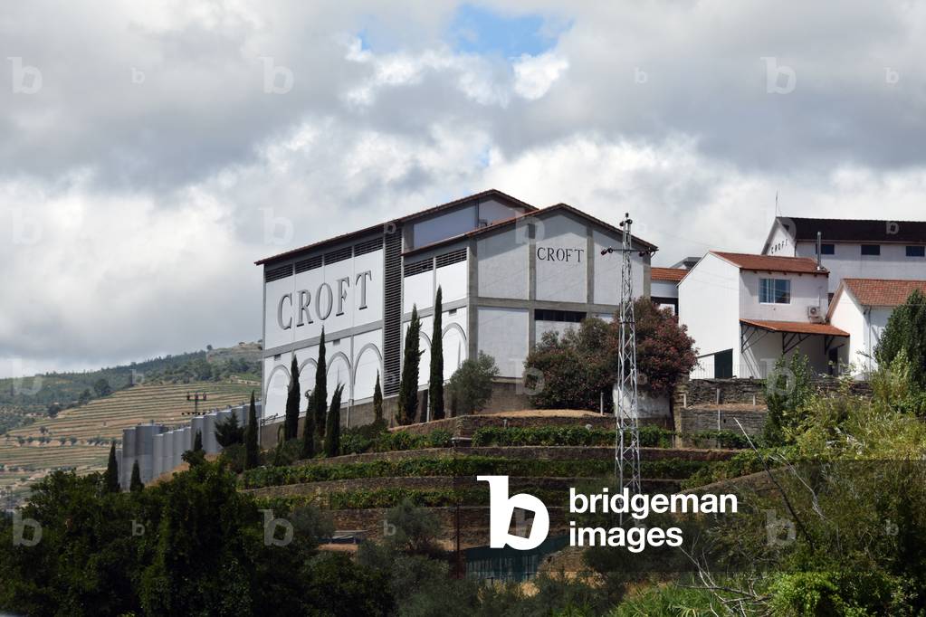 17853N PORTUGAL AUGUST 2016 VINES OF THE VALLEE DU RIVER LE DOUR9Wine Porto Raisin