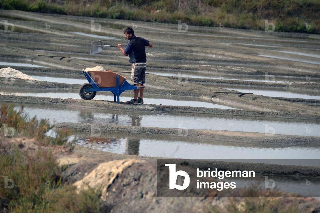 Les salines de Guerande