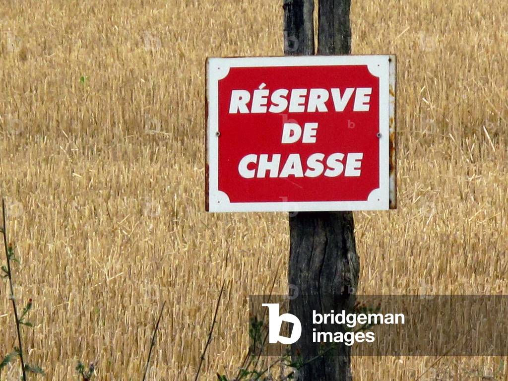 8971N Hunting Reserve Plate Ici la Babiniere a Braslou en Indre et Loir July 2009