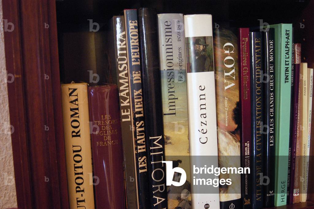 2049N Library Book of Art