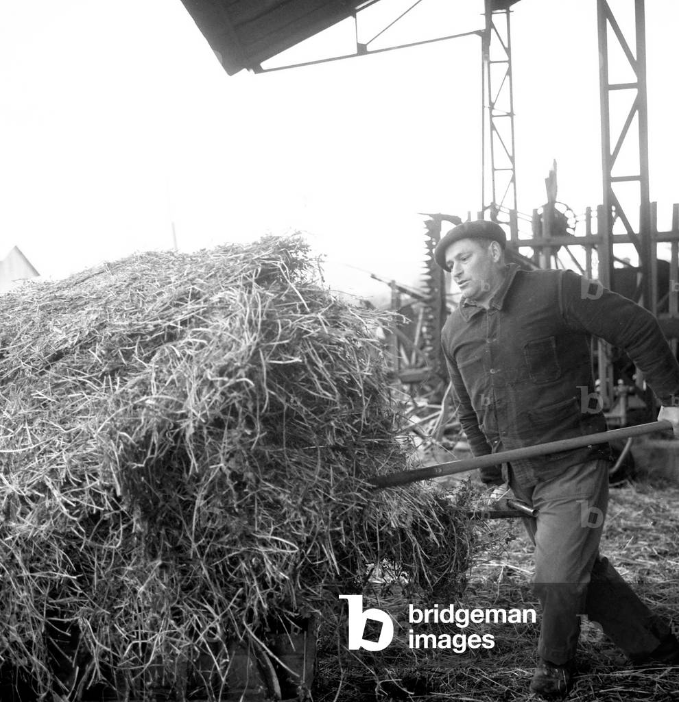 273 42 Peasants region of Blois 5 February 1968 hay fodder