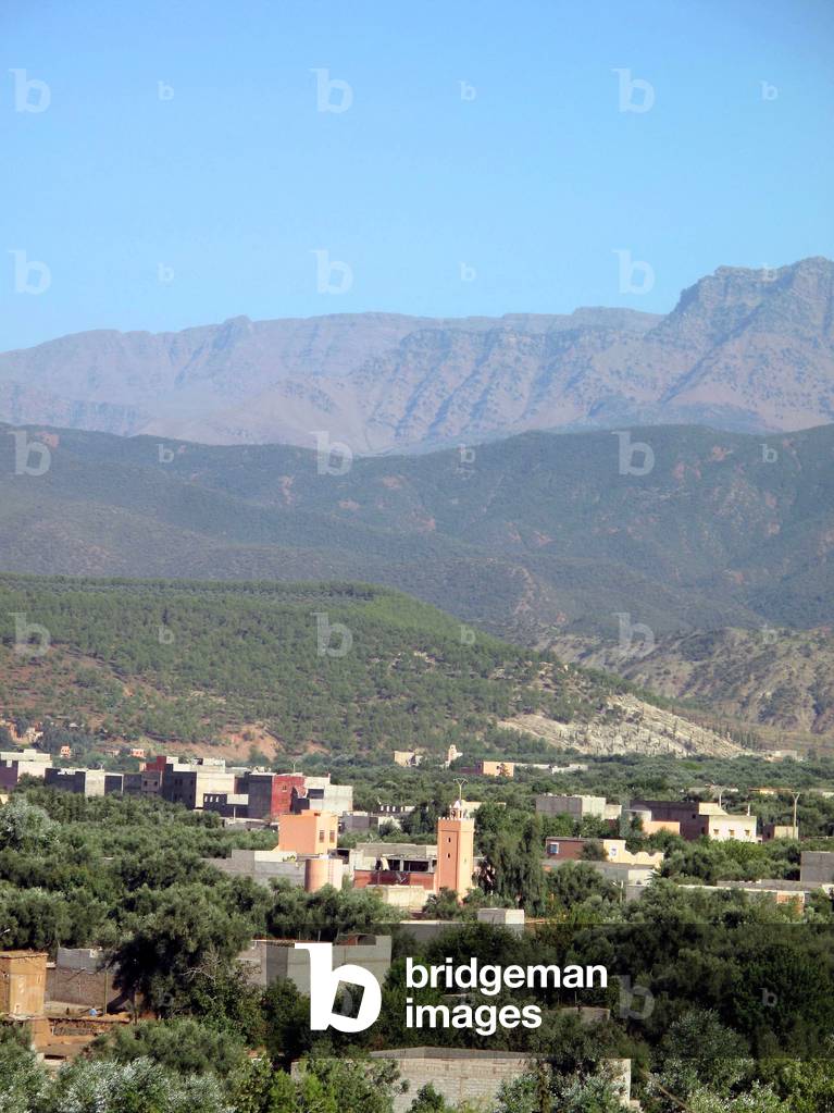 Vallee de l'Ourika : Village berbere