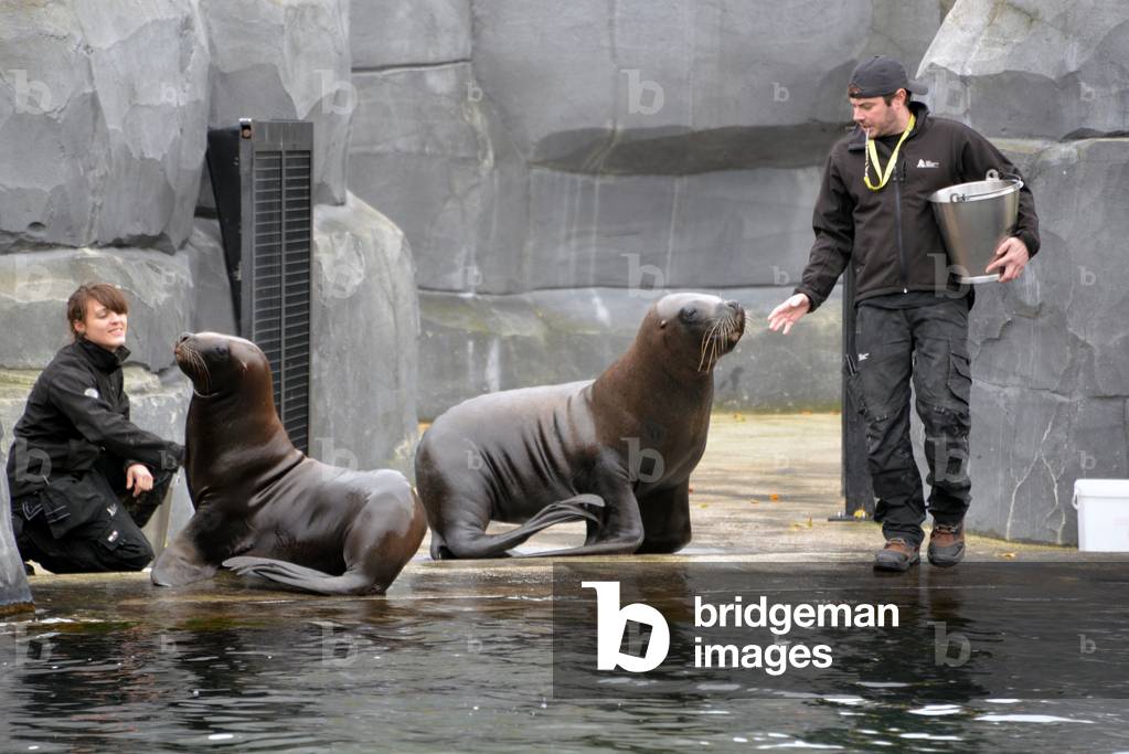 28859N ZOO de VINCENNES PARIS?