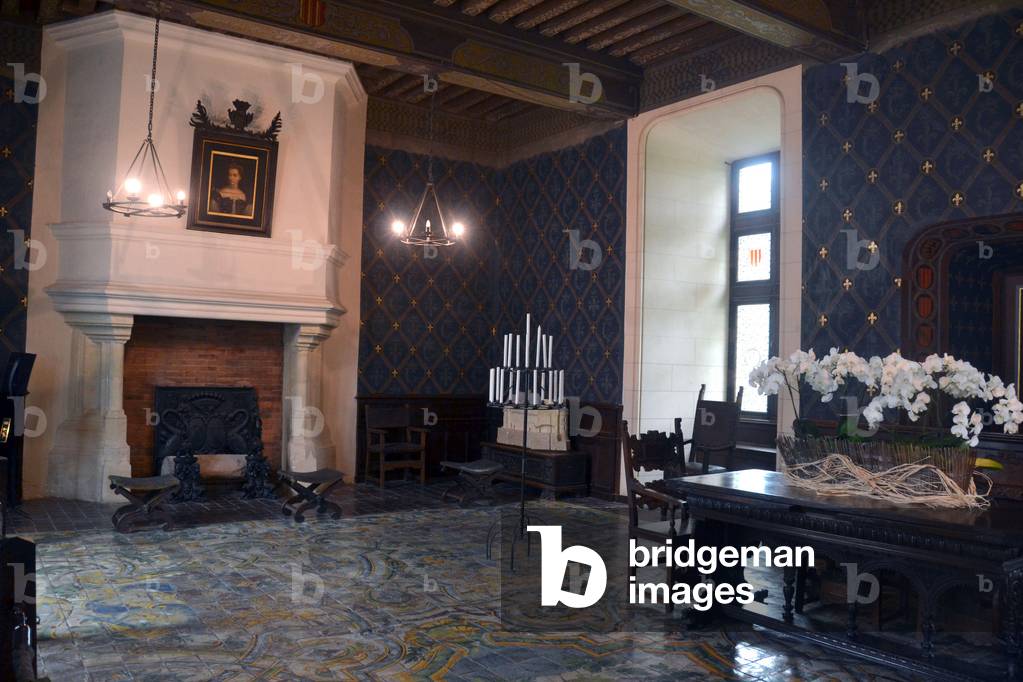 Le Chateau de Chaumont-sur-Loire