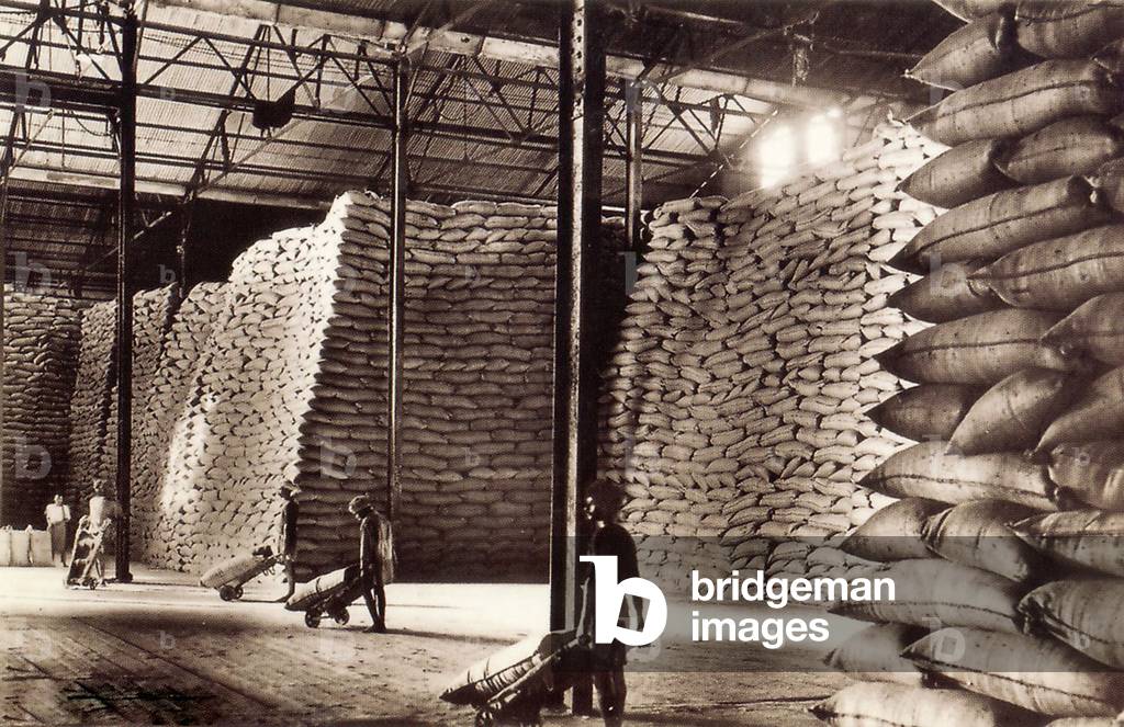 Sugar warehouse in America (USA) (engraving)