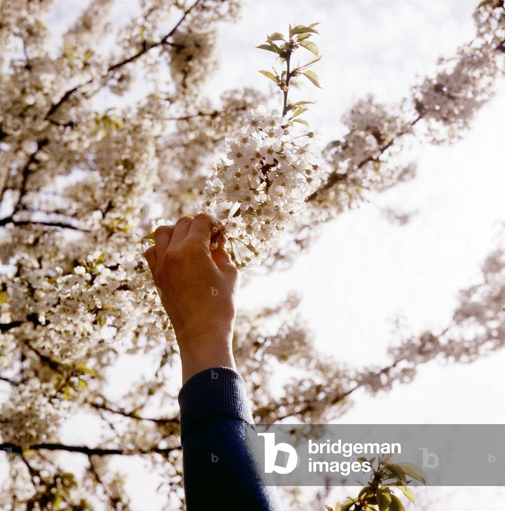 Spring