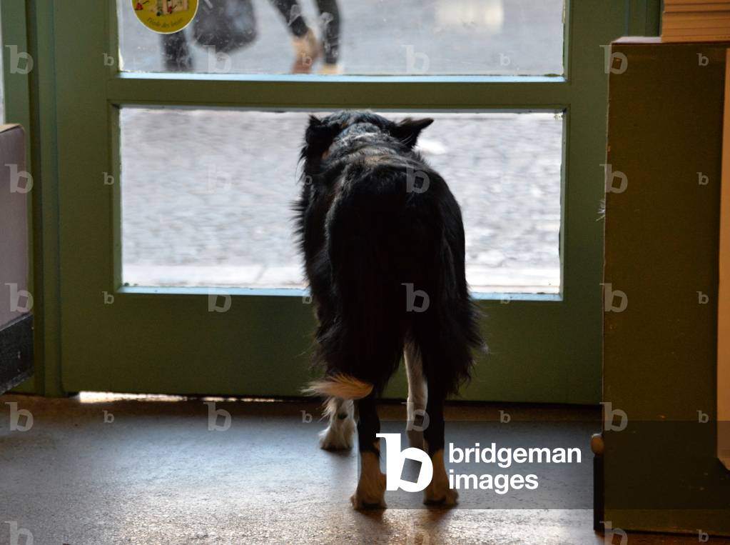 21492N BOOKSTORE LE LIVRE EN FETE A FIGEAC -LOT DEC 2017?