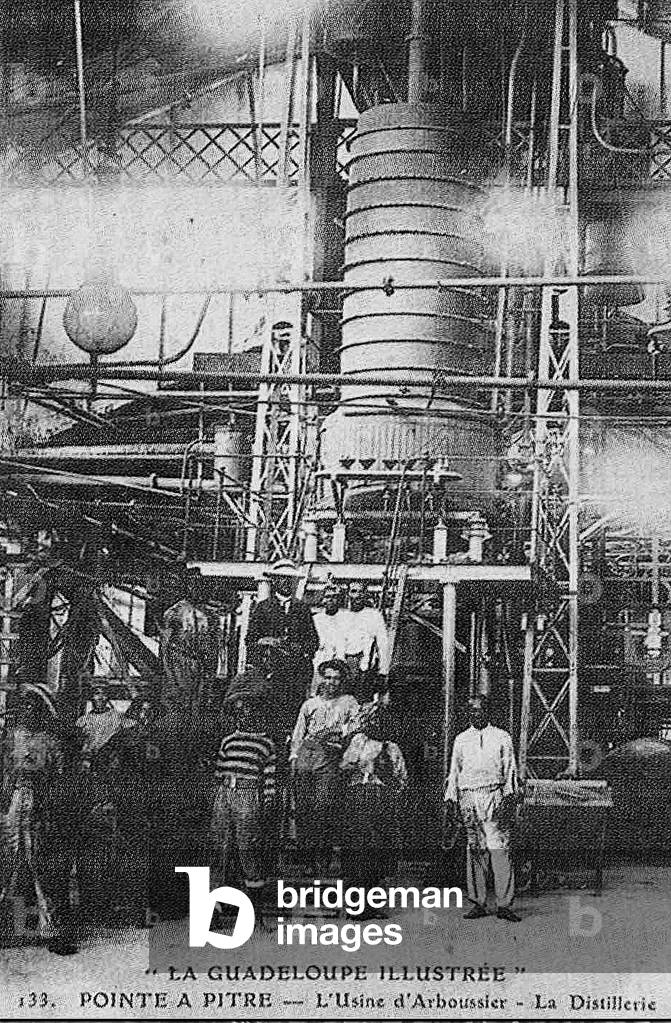 14786N Manufacture of rum in the Caribbean islands