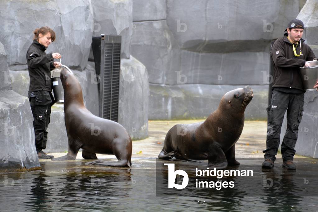 28861N ZOO de VINCENNES PARIS?