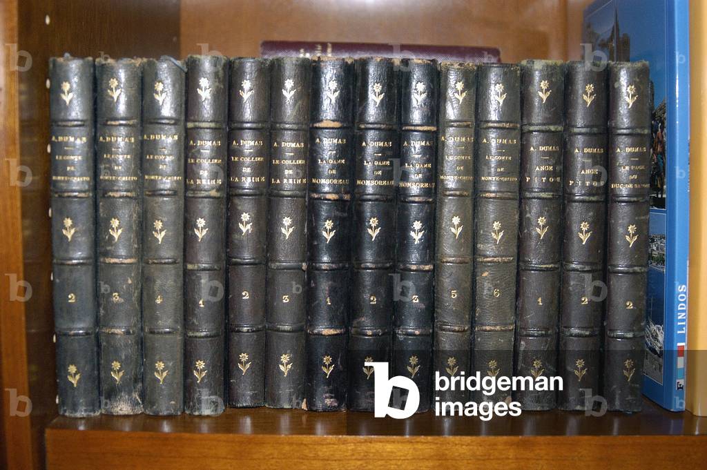 2041N Library Collection of Books by Alexandre Dumas
