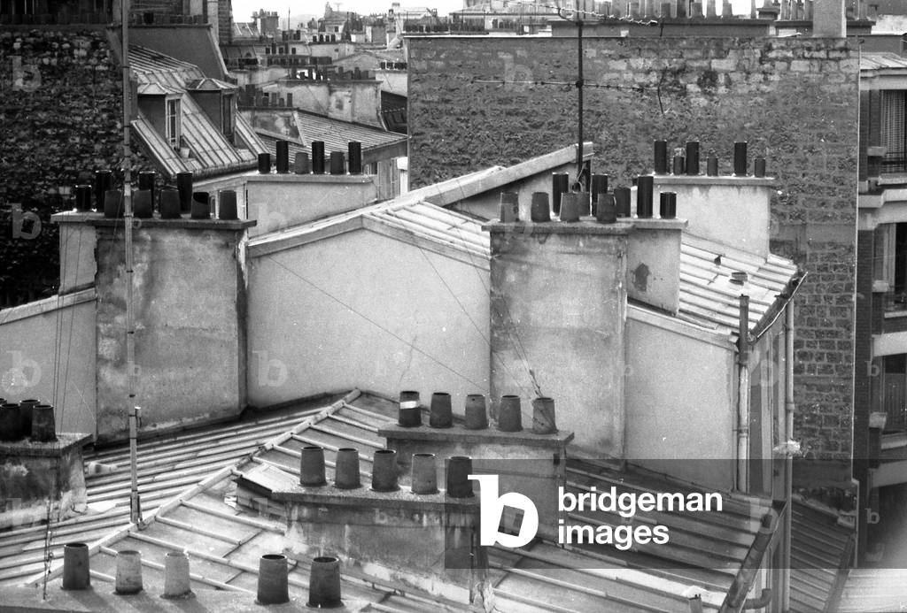 277 35 Rooits de Paris in the Montmartre cemetery district 1980