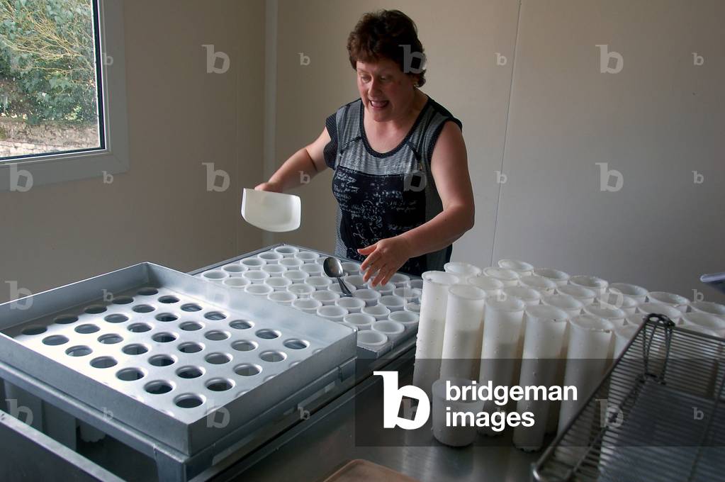 9648N Fabricatin of goat cheese SaintAure de Touraine 2010