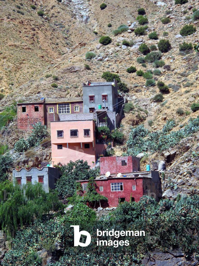 Vallee de l'Ourika : Village berbere