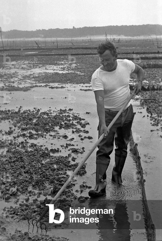 Oysterman in Vendee, France, august 1974 (b/w photo)