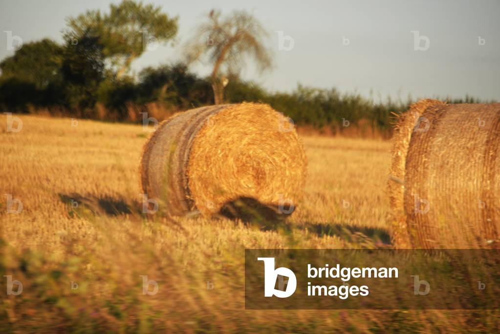 21574N Hay Wheel in a Field 2017?