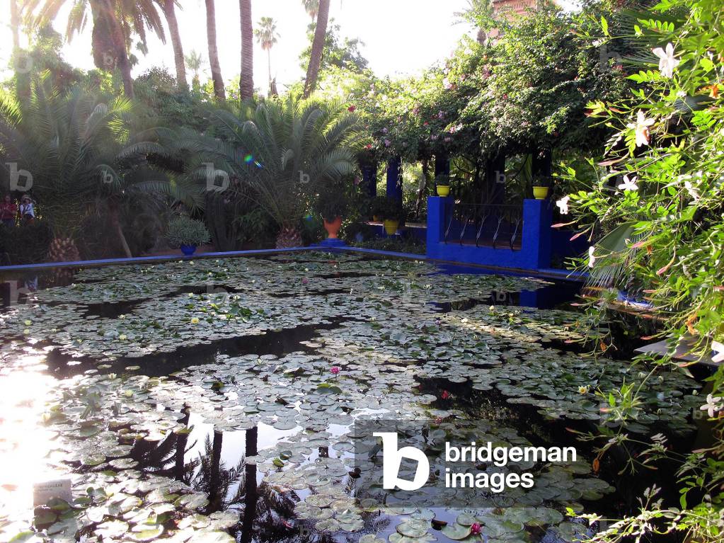 Majorelle garden the house of Yves St Laurent