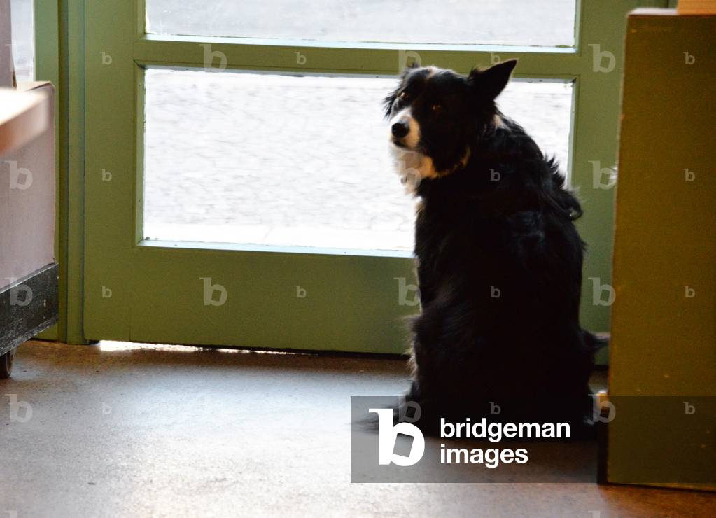 21493N BOOKSHOP LE LIVRE EN FETE A FIGEAC -LOT DEC 2017?