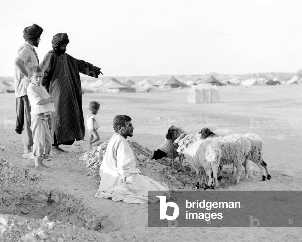Saharan refugees, 1976