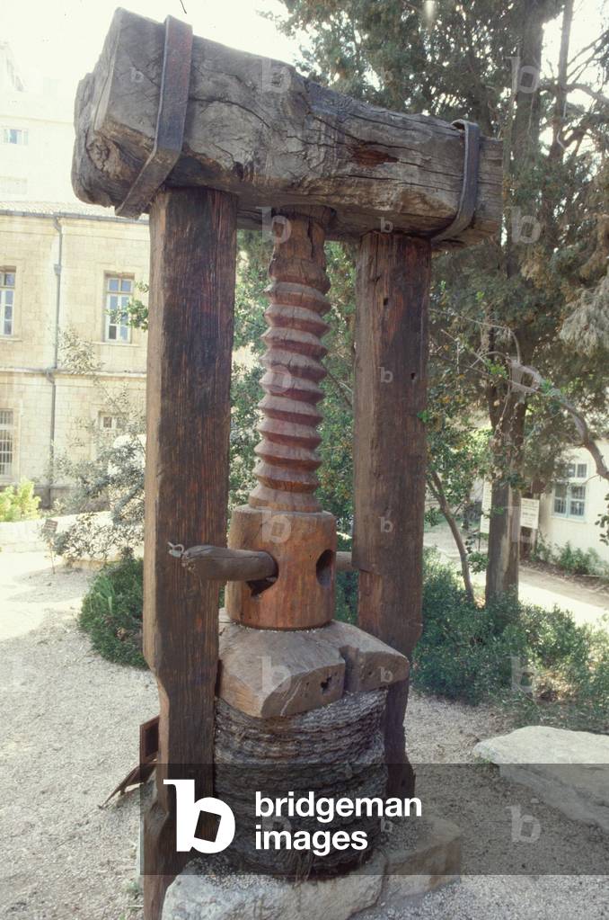 Olive oil press (photo)