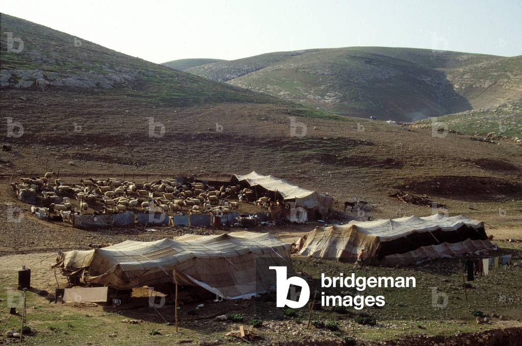 Bedouin tents in the mountains of Judea (photo)