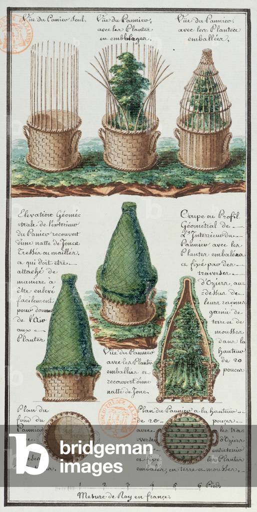 Illustration of a woven basket for transporting plants, from the artist's notebook made during the expeditions of Jean-Francois Gallup de la Perouse (1741-88) (pen & ink and w/c on paper)