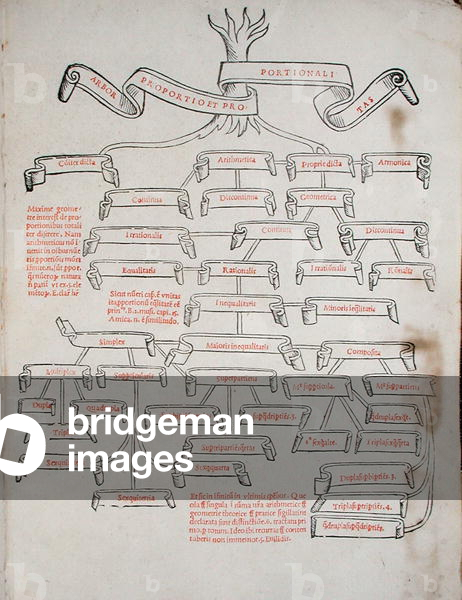 The Tree of Proportions, from 'De Divina Proportione' by Luca Pacioli (c.1445-c.1514) published in Venice, 1509 (print)