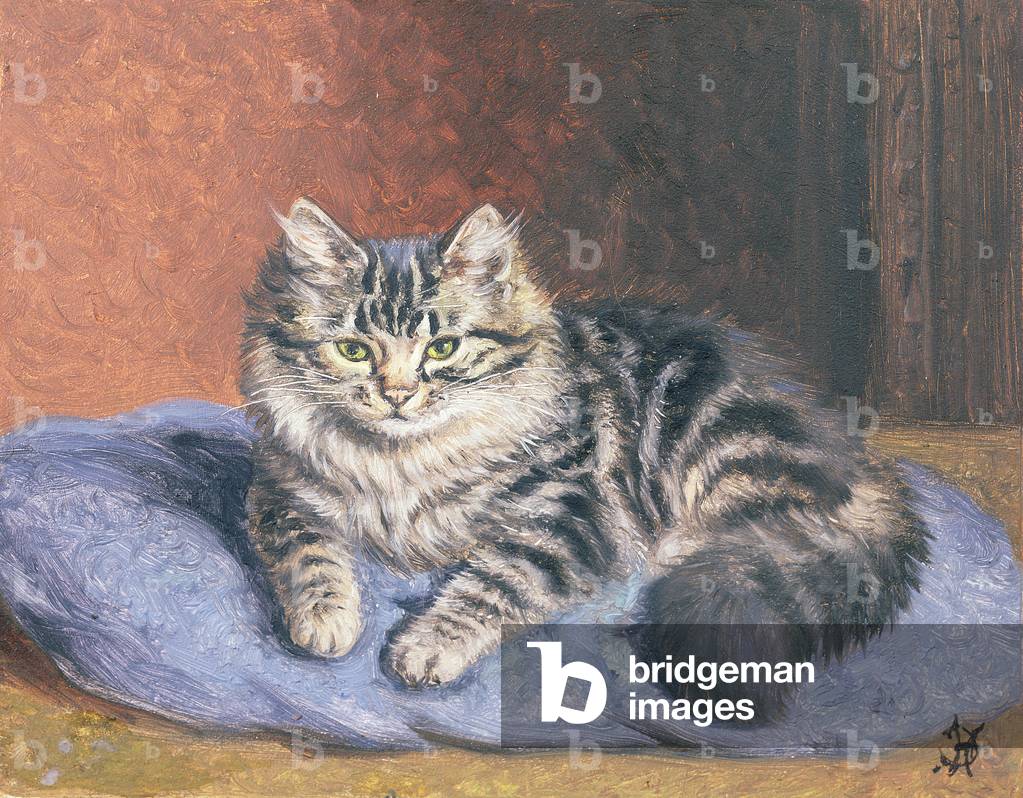 The Blue Cushion