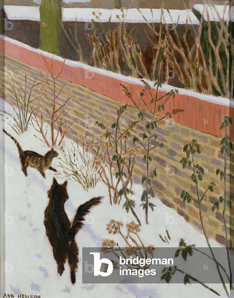Cats in the Snow