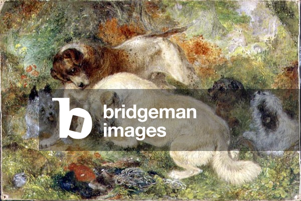 Terriers and Rabbits in a Wood