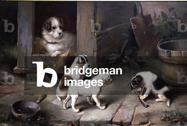 Puppies at Play, 1897