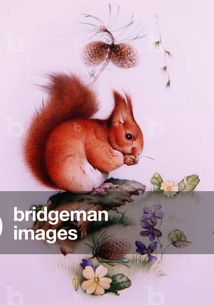 Red Squirrel in a Spring Landscape