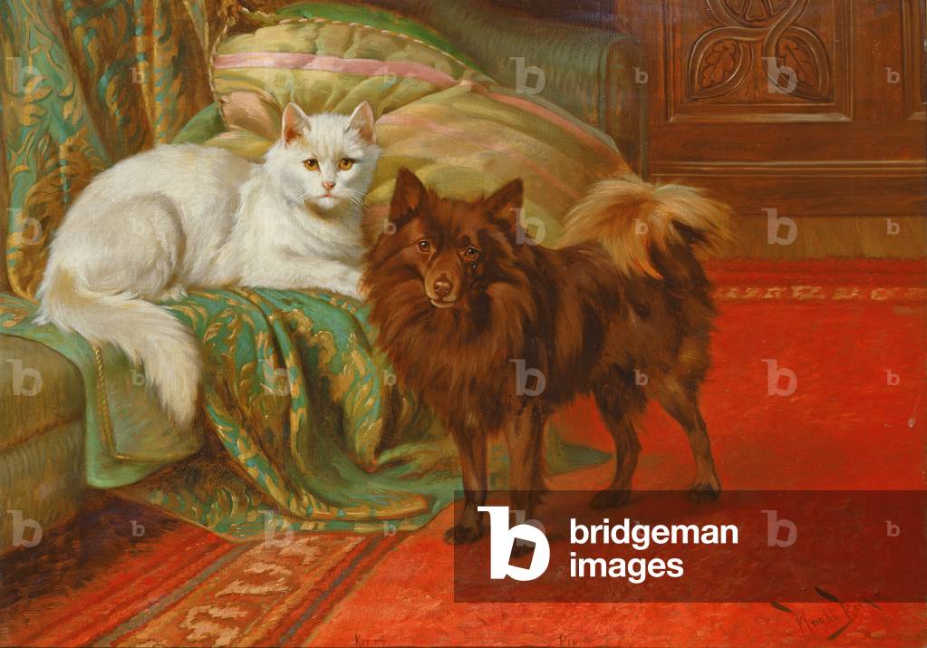 Kitty and Pip