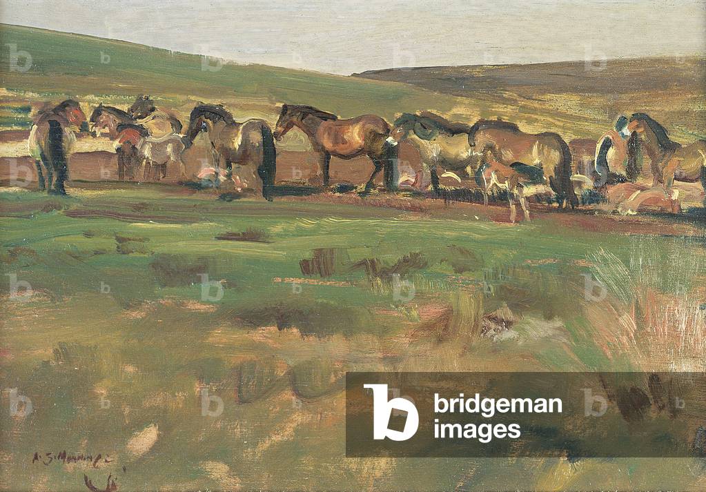 Exmoor Ponies, study no.3 (oil on panel)